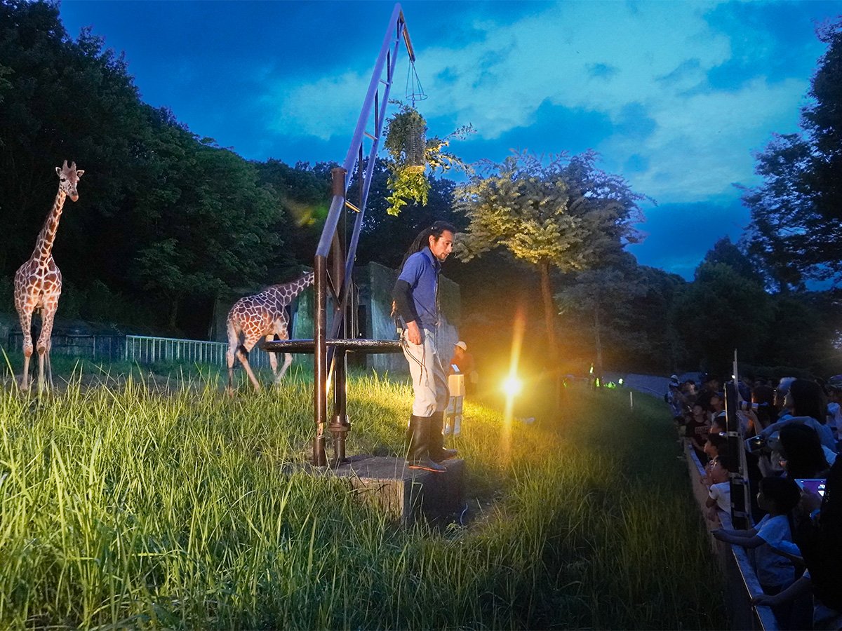 🐘 아키타시 오모리야마 동물원(아키타시 오모리야마 도오부츠엔) 이미지 9